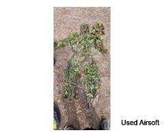 Jack pyke custom ghillie