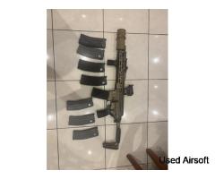 APFG MCX spear LT “LIONESS” build