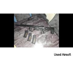 PTS RADIAN MODEL1