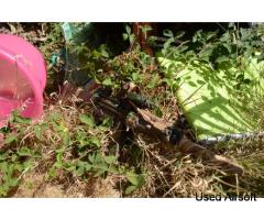 g & g pneumatic ebb mp5