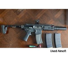Sig rattler
