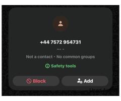SCAMMER