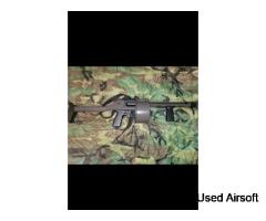 Striker 12 APS