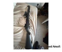 M14 SOCOM DMR