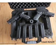 Raven 226 twin pistol setup - Image 2