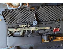 SSX303 DMR HPA