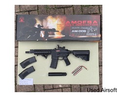 Ares Amoeba AM-008 Custom M4