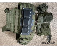 warrior assault systems plate carrier - Image 3