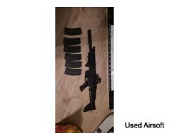 TM Scar L NGRS *Read*