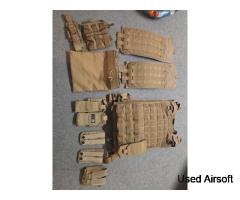 Warrior Assault systems plate carrier and pouches