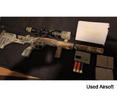 Silverback SRS Project / Needs TLC