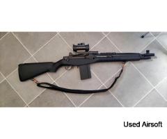 M14 AEG